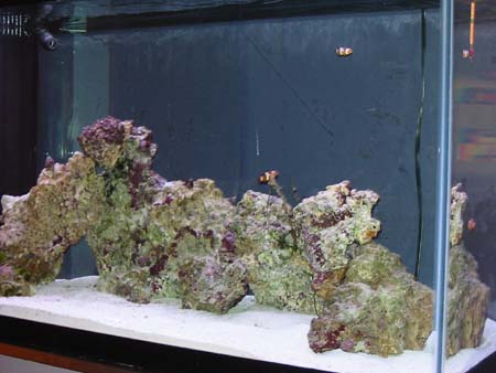 104-0408_IMG